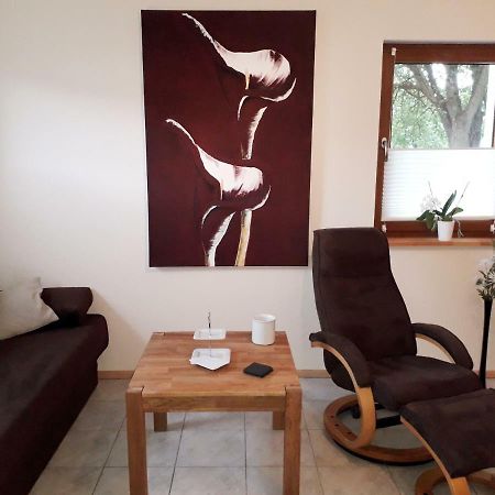 Ferienwohnung Adams Hinterweiler Екстериор снимка