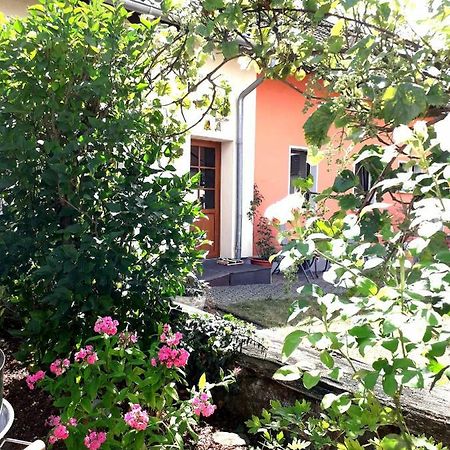 Ferienwohnung Adams Hinterweiler Екстериор снимка