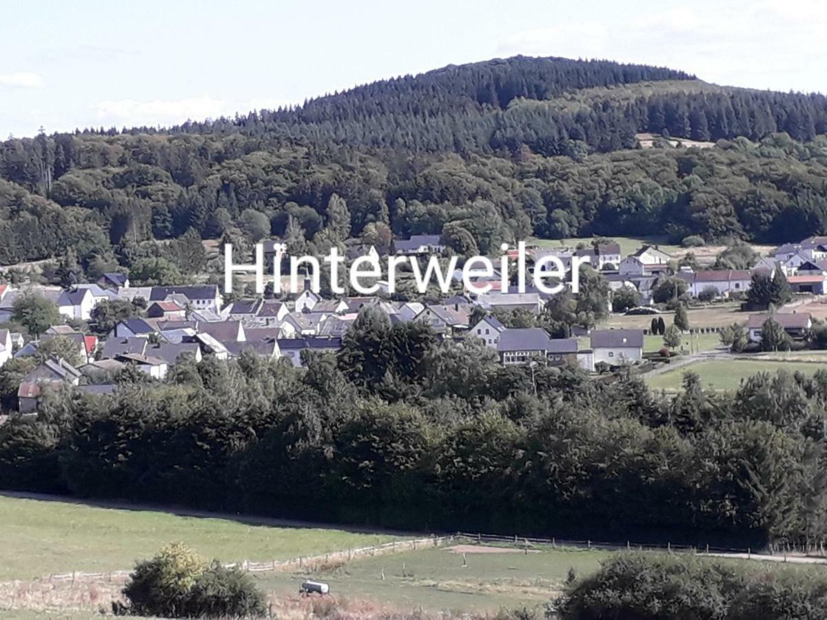 Ferienwohnung Adams Hinterweiler Екстериор снимка