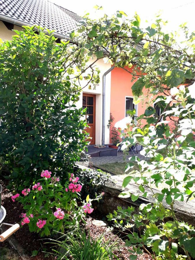 Ferienwohnung Adams Hinterweiler Екстериор снимка